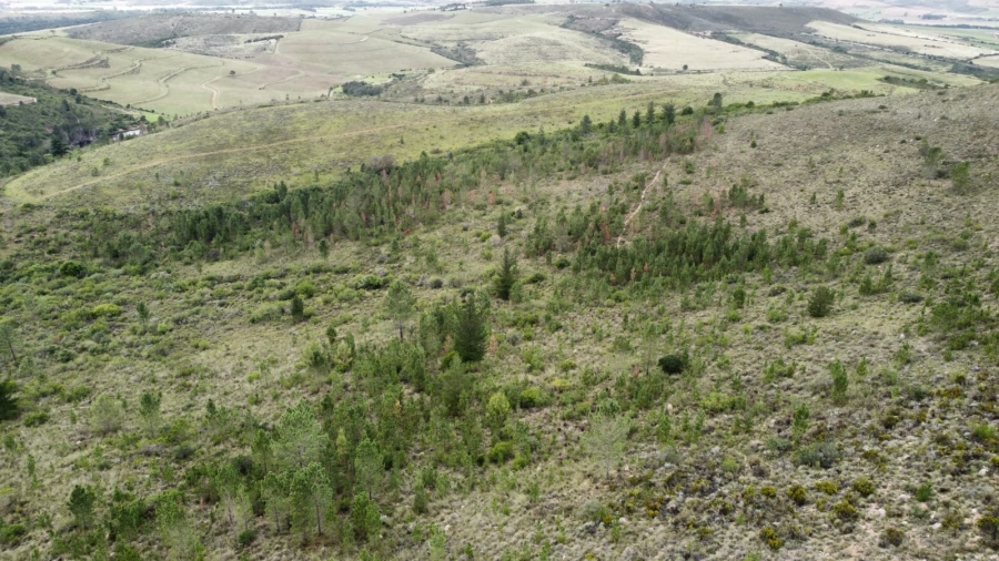 4 Bedroom Property for Sale in Riversdale Rural Western Cape